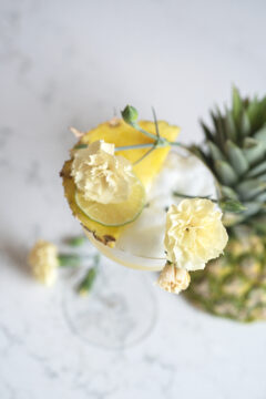 Dianthus Hello Yellow-301 2